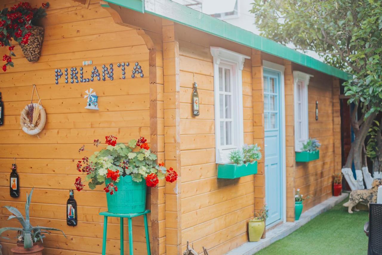 ホテル ピルランタ ブティック オテル Çeşme エクステリア 写真